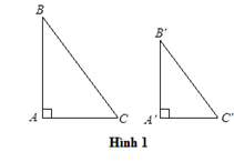 Hình minh họa Các trường hợp đồng dạng của tam giác vuông