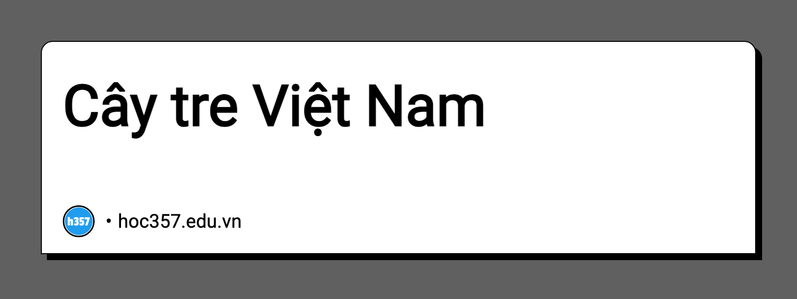 Hình minh họa Cây tre Việt Nam