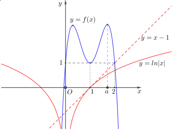 Hình đáp án 1. Cho hàm số đa thức bậc bốn $y=f\left( x \right)$ có đồ thị là đường co