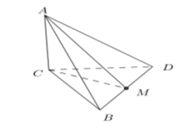 Hình đáp án 1. Cho hình chóp A.BCD có cạnh $\large AC\perp (BCD)$ và BCD là tam giác 