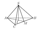 Hình đáp án 1. Cho hình chóp đều $\large S.ABC$ có cạnh đáy bằng $\large a$, cạnh bên