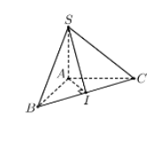 Hình đáp án 1. Cho hình chóp $\large S.ABC$ có đáy là tam giác vuông tại $\large A, A