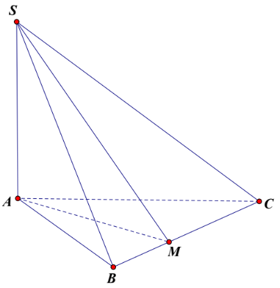 Hình đáp án 1. Cho hình chóp $\Large S.ABC$ có đáy là tam giác vuông tại $\Large A,$ 