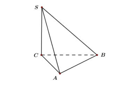 Hình đáp án 1. Cho hình chóp $\large S.ABC$ có đáy $\large ABC$ là tam giác vuông cân