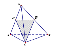 Hình đáp án 1. Cho hình chóp $\large S.ABC$ có $\large A'$ và $\large B'$ lần lượt là