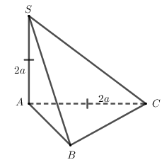 Hình đáp án 1. Cho hình chóp $\large S.ABC$ có $\large SA$ vuông góc với đáy. Tam giá