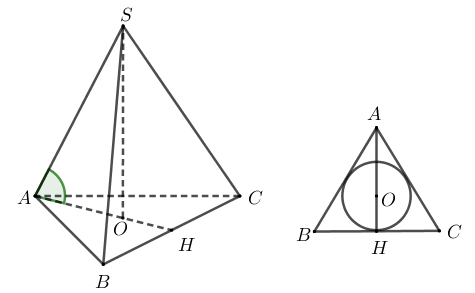 Hình đáp án 1. Cho hình chóp tam giác đều S.ABC có cạnh đáy bằng a và góc giữa một cạ