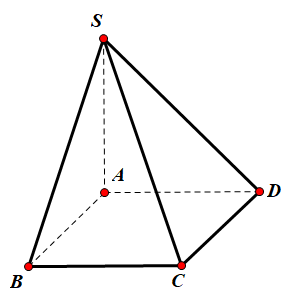 Hình đáp án 1. Cho hình chóp tứ giác $\Large S.ABCD$ có đáy $\Large ABCD$ là hình vuô