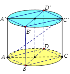 Hình đáp án 1. Cho hình hộp chữ nhật ABCD.A'B'C'D' có AD = 8, CD = 6, AC' = 12. Tính 