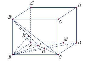 Hình đáp án 1. Cho hình hộp chữ nhật ABCD.A'B'C'D' có $\large AB=a,\, AD= 2a,\, AA'= 