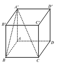 Hình đáp án 1. Cho hình hộp chữ nhật $\Large ABCD.A'B'C'D'$ có đáy $\Large ABCD$ là h