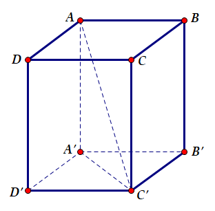 Hình đáp án 1. Cho hình hộp chữ nhật $\large ABCD.A'B'C'D'$ có độ dài đường chéo $\la