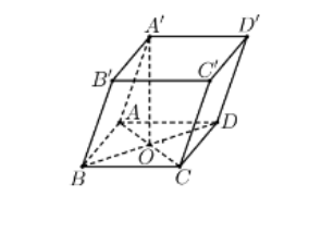 Hình đáp án 1. Cho hình hộp $\large ABCD.A'B'C'D'$ có đáy $\large ABCD$ là hình thoi 