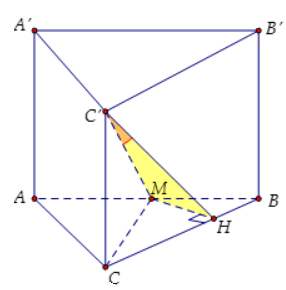 Hình đáp án 1. Cho hình lăng trụ đều $\large ABC.A'B'C'$, đáy có cạnh bằng $\large a$