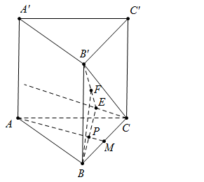 Hình đáp án 1. Cho hình lăng trụ đứng ABC.A'B'C' có đáy ABC là tam giác vuông, $\larg