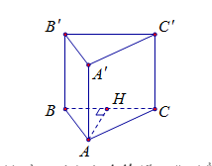 Hình đáp án 1. Cho hình lăng trụ đứng ABC.A’B’C’ có đáy là tam giác ABC vuông tại A c