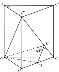 Hình đáp án 1. Cho hình lăng trụ đứng $\Large ABC.{A}'{B}'{C}'$ có đáy là tam giác $\