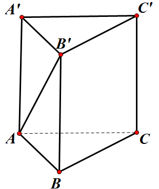 Hình đáp án 1. Cho hình lăng trụ đứng $\Large ABC.A{}'B{}'C{}'$ có đáy là tam giác $\