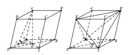 Hình đáp án 1. Cho hình lăng trụ $\large ABCD.A'B'C'D'$ có đáy $\large ABCD$ là hình 