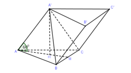 Hình đáp án 1. Cho hình lăng trụ tam giác ABC.A’B’C’ có các cạnh bên hợp với đáy nhữn