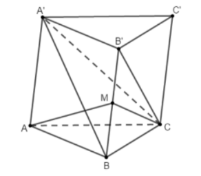 Hình đáp án 1. Cho hình lăng trụ tam giác ABC.A'B'C' có đáy là tam giác vuông tại A, 