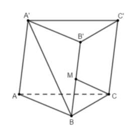 Hình minh họa Cho hình lăng trụ tam giác ABC.A'B'C' có đáy là tam giác vuông tại A, 