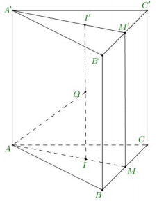 Hình đáp án 1. Cho hình lăng trụ tam giác đều ABC.A'B'C' có các cạnh đều bằng a. Tính