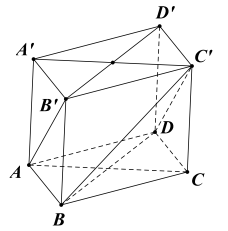 Hình đáp án 1. Cho hình lăng trụ tam giác đều ABC.A'B'C' có tất cả các cạnh bằng a . 