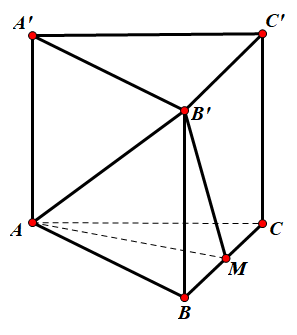 Hình đáp án 1. Cho hình lăng trụ tam giác đều $\large ABC.A'B'C'$ có AB = a , đường t