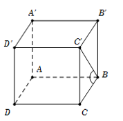 Hình đáp án 1. Cho hình lăng trụ tứ giác đều ABCD.A’B’C’D’ có đáy cạnh bằng a, góc gi