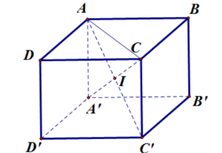 Hình đáp án 1. Cho hình lập phương ABCD.A'B'C'D', AB = a . Bán kính của mặt cầu ngoại