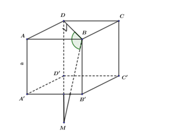 Hình đáp án 1. Cho hình lập phương ABCD.A’B’C’D’ cạnh a. Điểm M thuộc tia DD’ thỏa mã