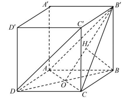 Hình đáp án 1. Cho hình lập phương ABCD.A'B'C'D' có cạnh bằng a. Khoảng cách giữa hai