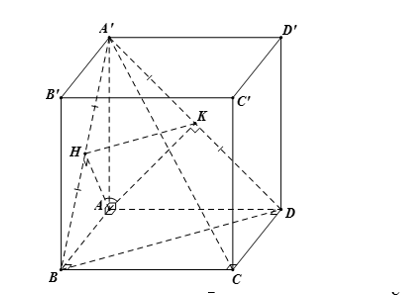 Hình đáp án 1. Cho hình lập phương ABCD.A’B’C’D’ có cạnh bằng a. Số đo góc giữa hai m