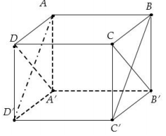 Hình đáp án 1. Cho hình lập phương ABCD.A'B'C'D' góc giữa hai mặt phẳng (A'B'CD) và (