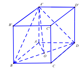 Hình đáp án 1. Cho hình lập phương ABCD.A'B'C'D'. Gọi $\Large \varphi$ là góc giữa ha