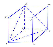 Hình minh họa Cho hình lập phương ABCD.A'B'C'D'. Gọi $\Large \varphi$ là góc giữa ha