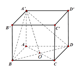 Hình đáp án 1. Cho hình lập phương ABCD.A'B'C'D'. Gọi $\Large \varphi$ là góc giữa ha