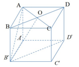 Hình đáp án 1. Cho hình lập phương ABCD.A'B'C'D' tính góc giữa AB' và mặt phẳng (BDD'