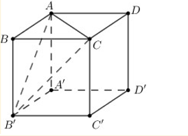 Hình đáp án 1. Cho hình lập phương ABCD.A’B’C’D’.Tính góc giữa hai đường thẳng AC và 