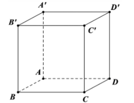 Hình đáp án 1. Cho hình lập phương $\Large ABCD.{A}'{B}'{C}'{D}'$ có diện tích mặt ch