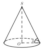 Hình đáp án 1. Cho hình nón có đường sinh l , góc giữa đường sinh và mặt phẳng đáy là