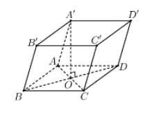 Hình đáp án 1. Cho hình trụ $\large ABCD.A'B'C'D'$ có tất cả các cạnh đều bằng $\larg