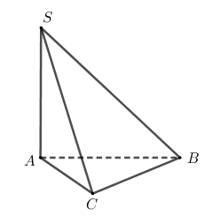 Hình đáp án 1. Cho khối chóp $\large S.ABC$ có $\large SA$ vuông góc với mặt đáy, $\l