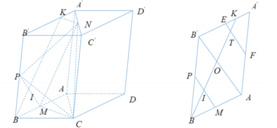 Hình đáp án 1. Cho khối hộp $\Large ABCD.A'B'C'D'$ có thể tích bằng 12. Gọi $\Large M