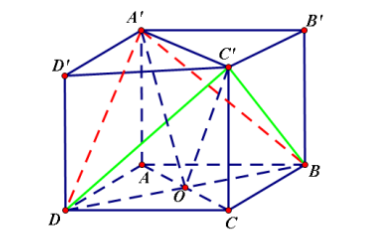 Hình đáp án 1. Cho khối lăng trụ đứng ABCD.A'B'C'D' có đáy là hình vuông cạnh a, cạnh