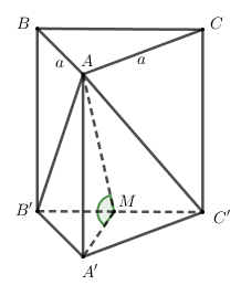 Hình đáp án 1. Cho khối lăng trụ đứng $\large ABC.A'B'C'$ có đáy $\large ABC$ là tam 