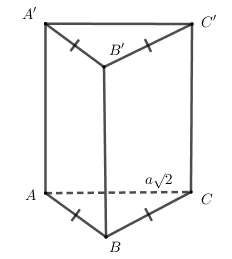 Hình đáp án 1. Cho khối lăng trụ đứng $\large ABC.A'B'C'$ có $\large BB'=a$, đáy $\la