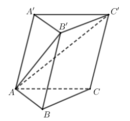 Hình đáp án 1. Cho khối lăng trụ tam giác $\large ABC.A'B'C'$ có thể tích bằng 1. Tín