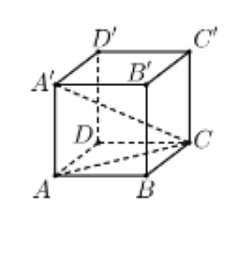 Hình đáp án 1. Cho khối lập phương $\large ABCD.A'B'C'D'$ có độ dài đường chéo $\larg